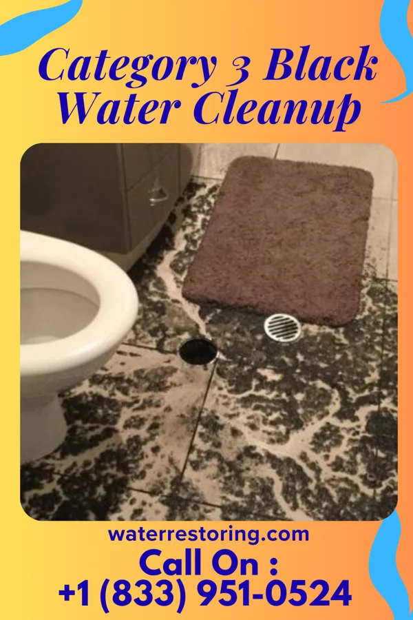 Category 3 Black Water Cleanup in Harristown, IL