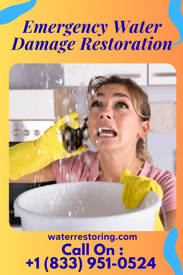 Emergency Water Damage Restoration in Harristown, IL
